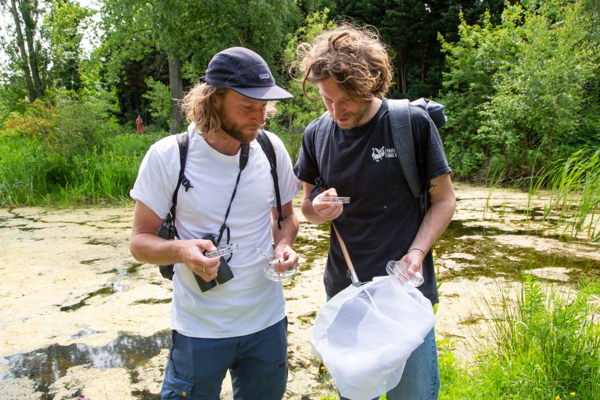 De gebroeders Groen